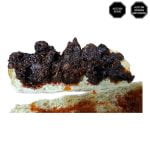 Bocadillo de Morcilla