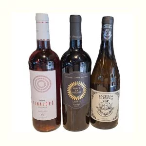 vinos-cat